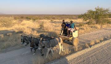 Between Sossusvlei and Etosha