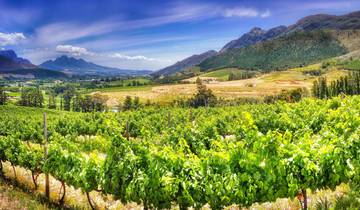 Im Königreich der Proteen (12 Destinationen)