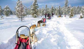 Rêve hivernal pour le Nouvel An en Laponie suédoise circuit