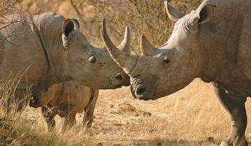 Het beste van Namibië