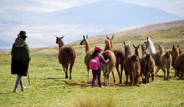 Hoogtepunten van Ecuador