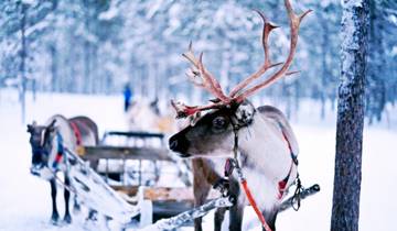 Aventure sur mesure en Finlande en Laponie circuit