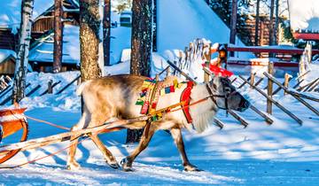 Tailor-Made 7 Days Finland Adventure to Lapland
