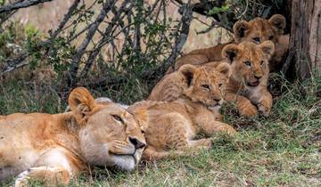 Circuito Safari familiar por Kenia y Tanzania