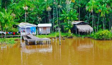 Brazilian Amazon by Boat (New)