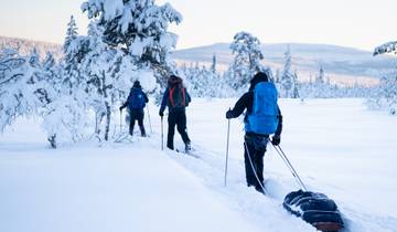 7 Day Sweden Itinerary, incl. Mora and Fulufjället