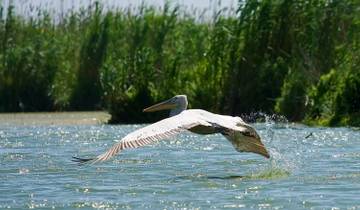 4 Days in the Heart of Danube Delta Tour