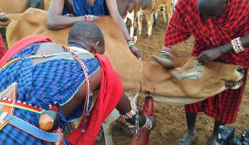 Maasai Cultural Tour Tour