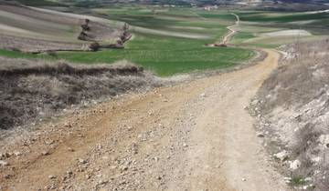 Französischer Jakobsweg von Sarria nach Santiago in kurzen Etappen (12 Tage)