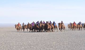 Camel Festival in the Great Gobi