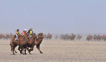 Camel Festival in the Great Gobi