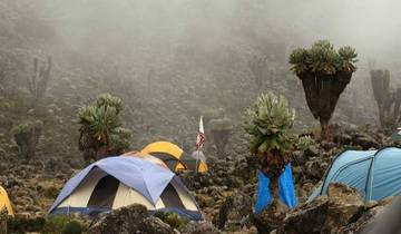 Mount kilimanjaro climbing through rongai route 8 days (all accommodation and transport are included) Tour