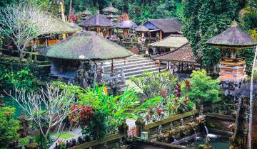 Bali Unveiled: 8 Days Around the Paradise Tour