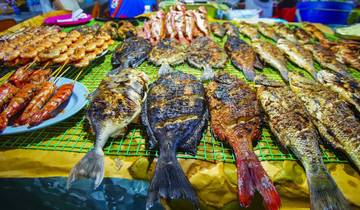 15 Days in Borneo Wildlife, incl. Kuching and Kota Kinabalu