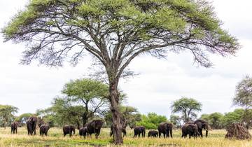 Arusha Nationalpark Materuni & Kikuletwa Hot Spring Safari