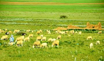 Private 11 Days Algeria Family Tour with 4-star Hotel, Daily Depart