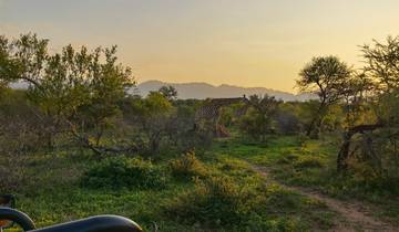 10 Day South Africa Itinerary, incl. Cape Town and Kruger National Park