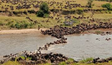 Flug in die Masai Mara Safari - 3 Tage