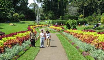 Sri Lanka Luxus Flitterwochen Rundreise