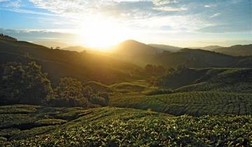 7 Days in Malaysia, incl. Kuala Lumpur and Penang