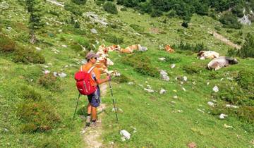 Kitzbühel Sternwandern Charme 7/6