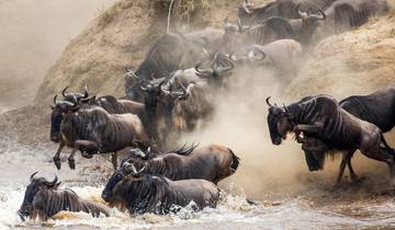 8 DAGEN LUXE VAN TANZANIA\'S SERENGETI EN KATAVI-rondreis