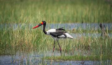 4 days - Explore Lochinvar National Park for bird-watching and Batwa Culture Tour Tour