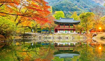 6 Dagen Culinaire Cultuur & Koreaans Erfgoed - Privé Rondreis (Seoul/Jeonju/Gwangju/Suncheon)
