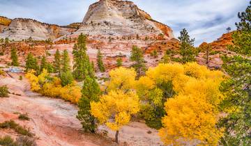 14 Day Western USA National Parks Itinerary, incl. Yellowstone and Zion