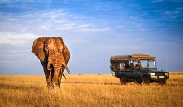 4 Days Classic Nairobi & Masai Mara Wildlife Viewing Tour [Best Price] Tour