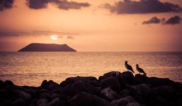 Verken de Galápagos – een avontuur in het natuurlijke wonderland – 6 dagen