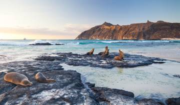 5 Days Galapagos Fascinating Nature