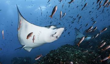 Avontuurlijke reis op de Galapagos – 5 dagen