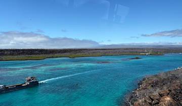 5 jours aux Galápagos, île de Santa Cruz | Excursions quotidiennes à la découverte de la faune sauvage