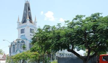 9 Days in Guyana, incl. Georgetown and Iwokrama