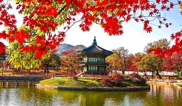 Tailor-Made Korea Jeju Vacation with Daily Departure & Private Guide Tour