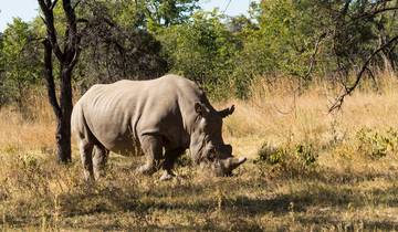 Kruger, Matobo & Falls - 7 days