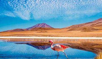 18 Days in Chile, incl. Santiago and Atacama Desert