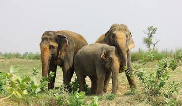 Explore Taj Mahal Tour With Elephant Wildlife SOS Rescue From Delhi Tour