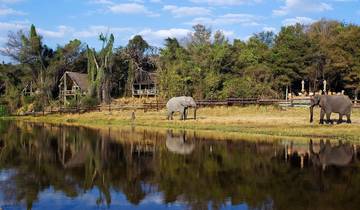 7 Day Zambia Safari Itinerary, incl. Livingstone and Kafue National Park