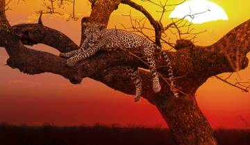 Falls, Matobo & Kruger - 7 days