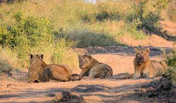 Falls, Matobo & Kruger - 7 days