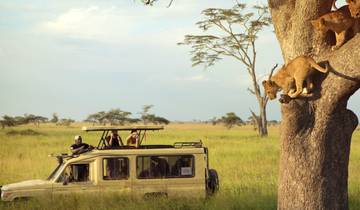Grand East African Safari (Gorilla & Migration) Tour