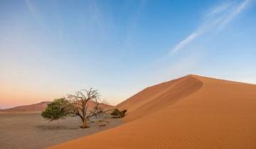 6 Days Etosha, Swakopmund & Sossusvlei (Lodging) Tour