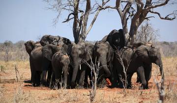 From Livingstone: 3-days safari travel to Kafue National Park (southern part) Tour