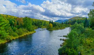 Yukon River: the best whitewater rivers canoe trip - 7 days Tour