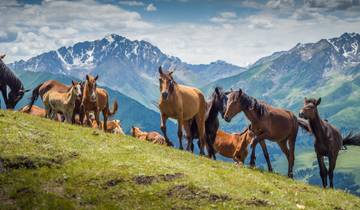 10 Days in Kyrgyzstan, incl. Bishkek and Karakol