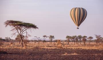 21 Days in East Africa, incl. Rwanda and Tanzania Safari