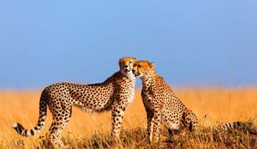 21 Days in East Africa, incl. Rwanda and Tanzania Safari