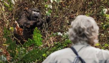 21 Days in East Africa, incl. Rwanda and Tanzania Safari